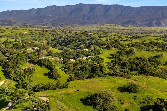 birds eye view of property with a mountain view