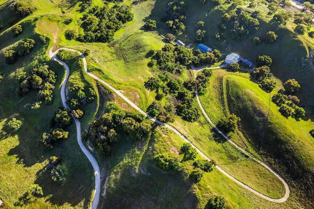 view of bird's eye view