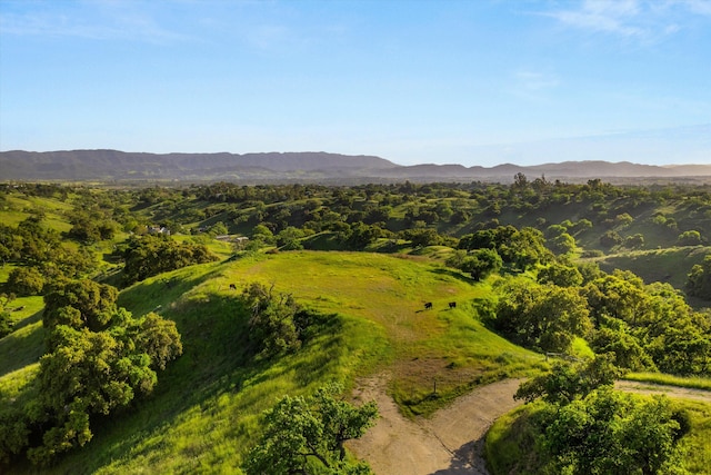 drone / aerial view with a mountain view