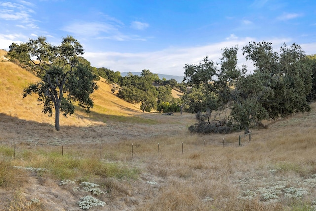 view of local wilderness with a rural view