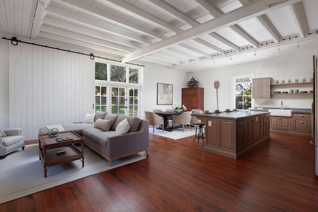 living room featuring beam ceiling, dark hardwood / wood-style flooring, sink, and track lighting