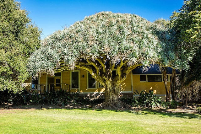 exterior space with a front yard