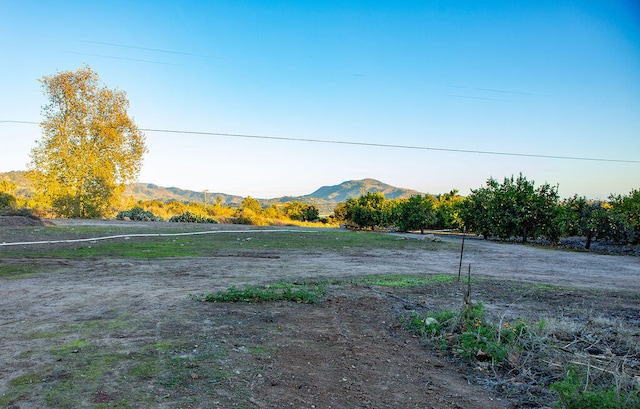 view of yard with a mountain view and a rural view