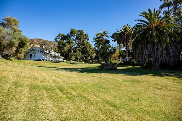 view of yard with a mountain view