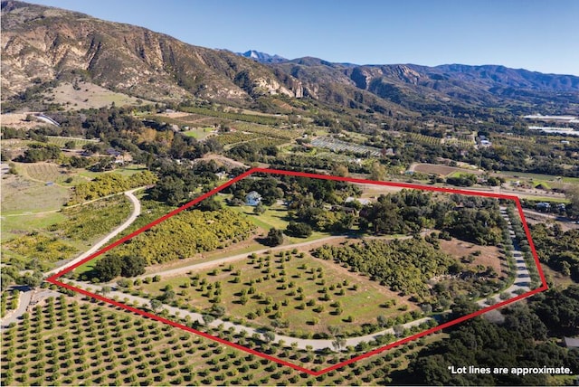 birds eye view of property with a mountain view