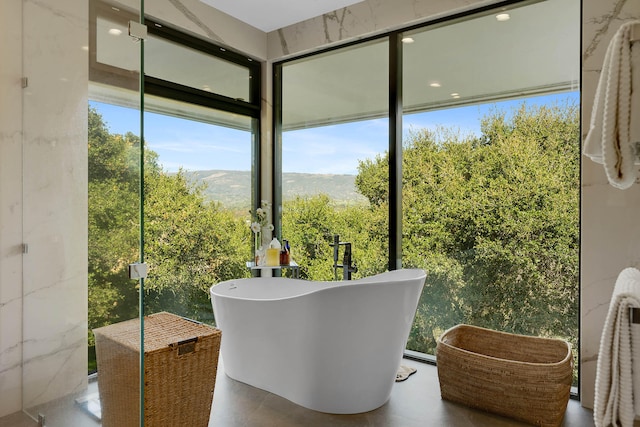 interior space featuring a mountain view and a tub