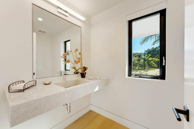 bathroom with wood-type flooring and sink