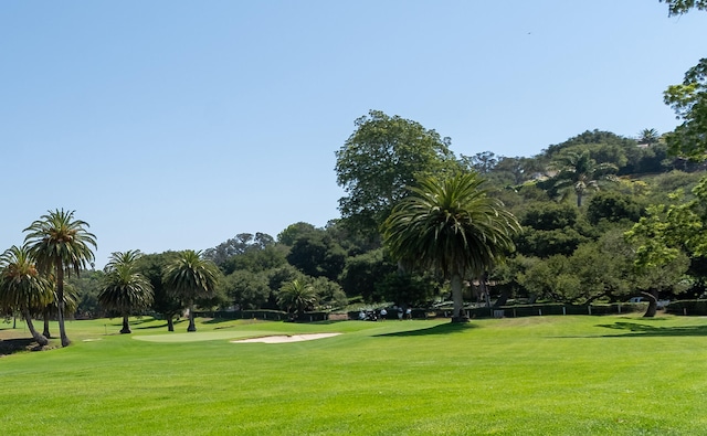 view of community featuring a lawn