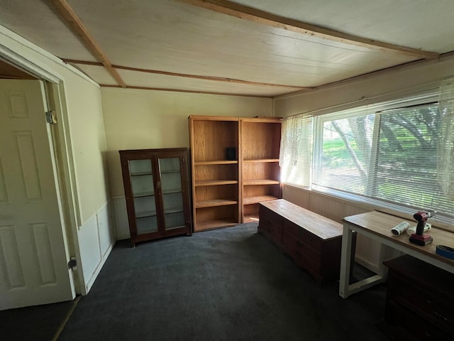 view of carpeted home office