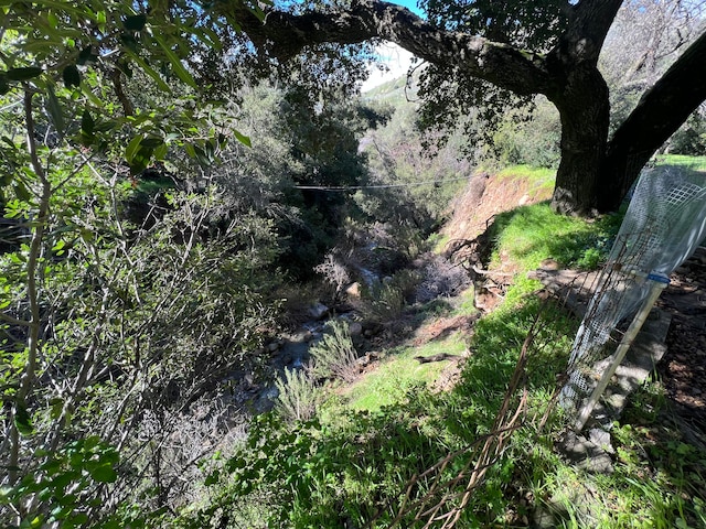 view of mother earth's splendor