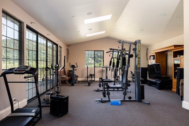 workout room with carpet flooring, plenty of natural light, and lofted ceiling with skylight