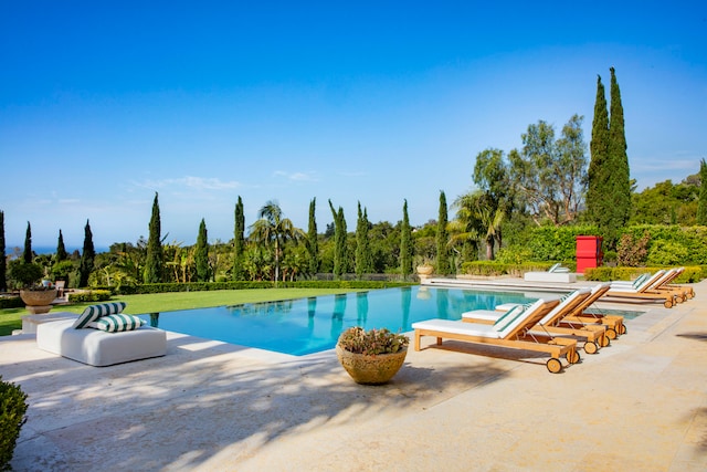 view of pool with a patio area