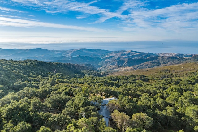 view of mountain feature