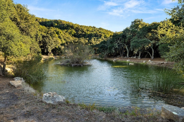 view of water feature