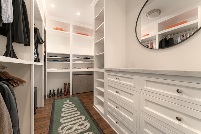 spacious closet with dark hardwood / wood-style flooring