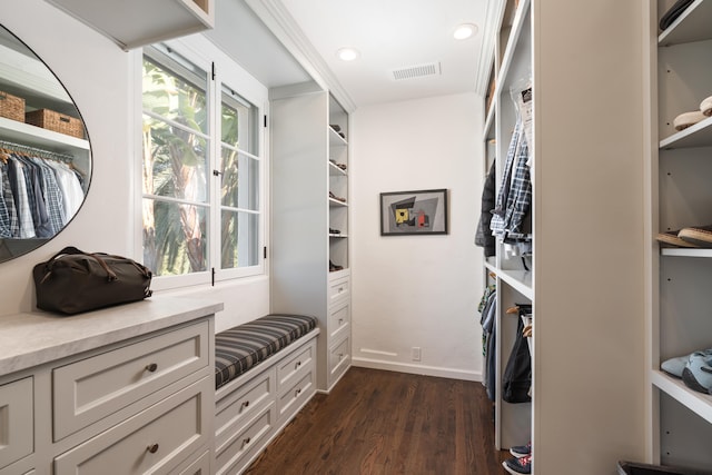 walk in closet with dark hardwood / wood-style flooring