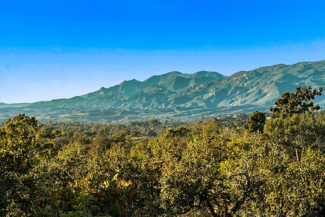 view of mountain feature