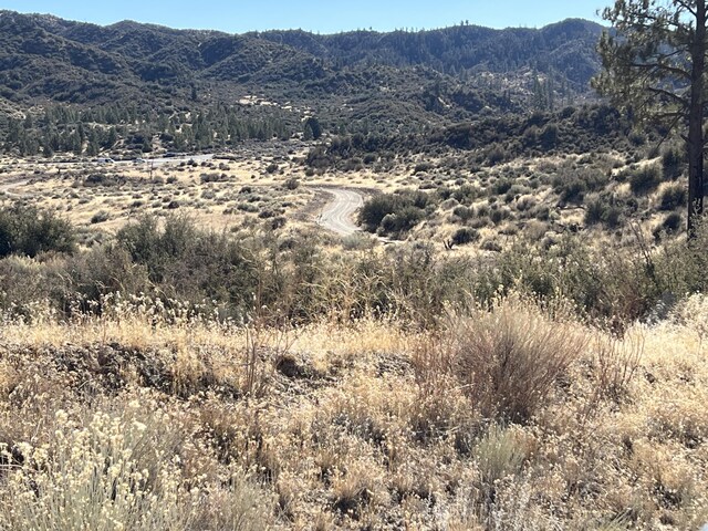 00000 Lockwood Valley Rd, Pine Mountain Club, CA 93225 - photo 3