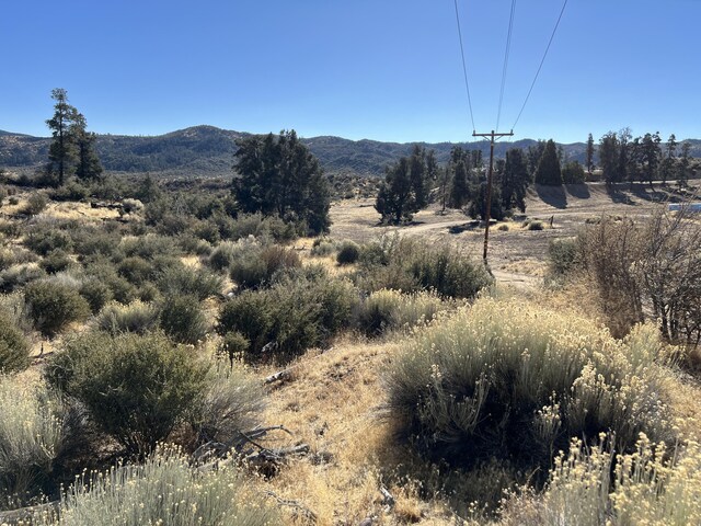 00000 Lockwood Valley Rd, Pine Mountain Club, CA 93225 - photo 5