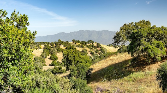 4001 Long Valley Rd, Santa Ynez, CA 93460 - photo 39
