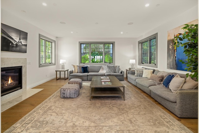 living room featuring a fireplace and light hardwood / wood-style flooring