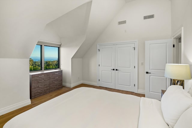 bedroom with vaulted ceiling, hardwood / wood-style floors, and a closet