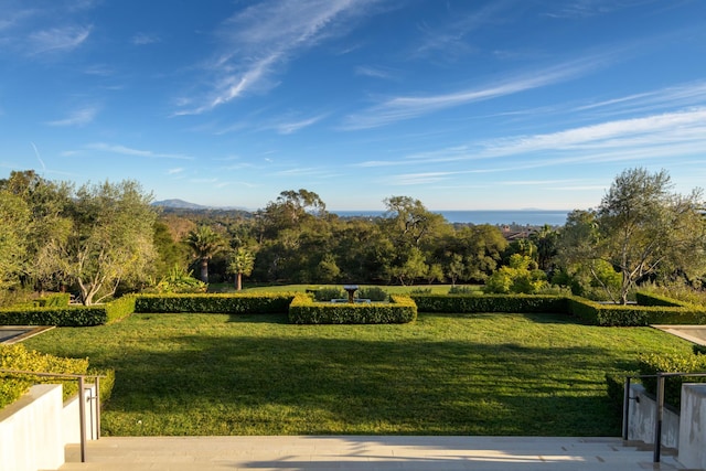 view of community with a yard