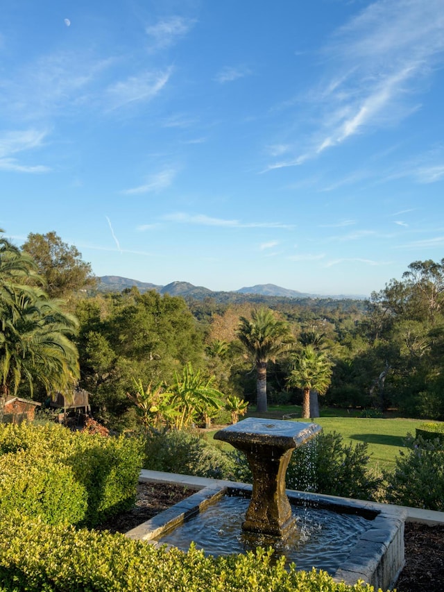 view of property's community with a mountain view