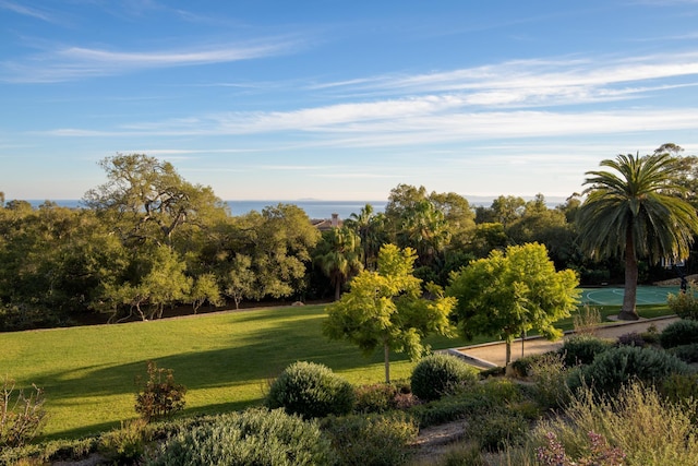 view of property's community with a yard