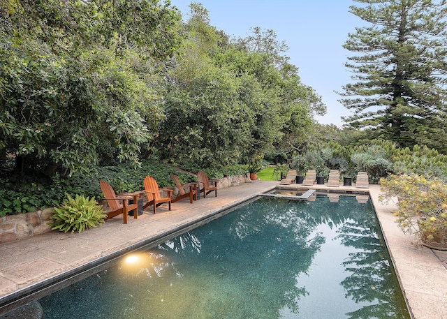 view of pool with a patio area and an in ground hot tub