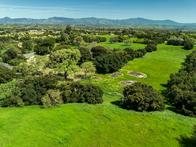 bird's eye view featuring a mountain view