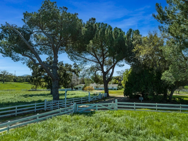 view of yard featuring a rural view