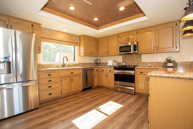 kitchen featuring a tray ceiling, stainless steel appliances, crown molding, and sink