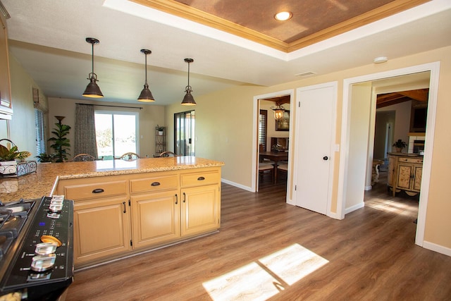 kitchen featuring a raised ceiling, black range with gas stovetop, ornamental molding, light stone counters, and dark hardwood / wood-style flooring