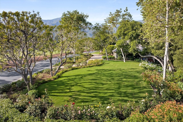 view of property's community featuring a mountain view and a yard