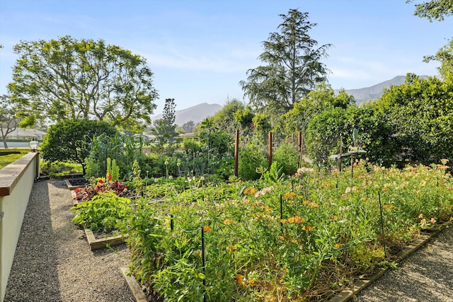 view of yard featuring a mountain view