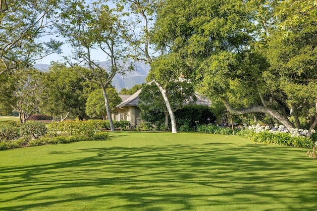 surrounding community featuring a yard