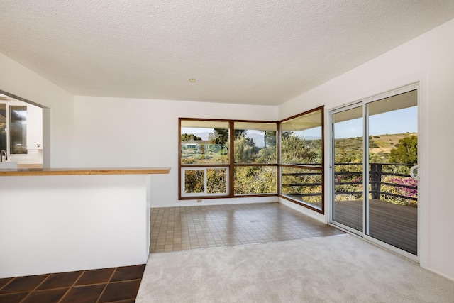 spare room with carpet flooring and a textured ceiling