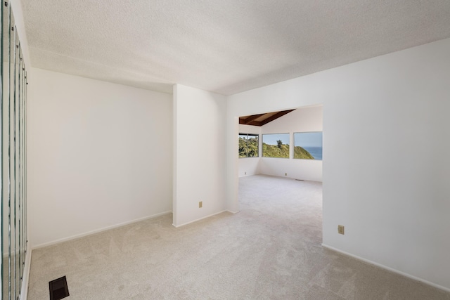 spare room with lofted ceiling, light colored carpet, and a textured ceiling