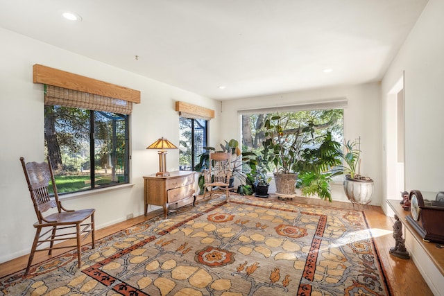 living area with light wood-type flooring