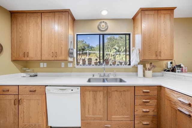 kitchen featuring sink and dishwasher