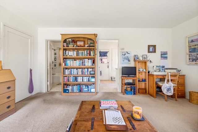 interior space featuring light colored carpet