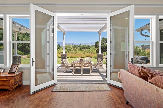 doorway with hardwood / wood-style flooring and plenty of natural light