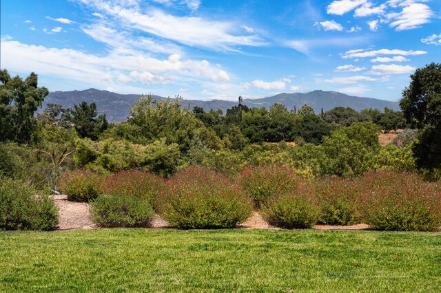 view of mountain feature