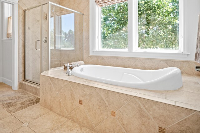 bathroom with separate shower and tub and a wealth of natural light