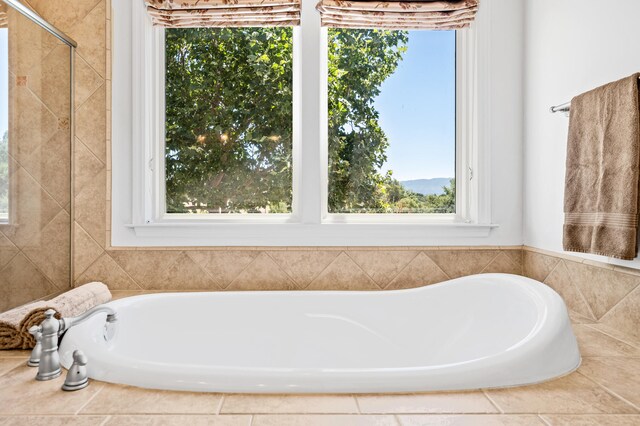 bathroom featuring a healthy amount of sunlight and a bath