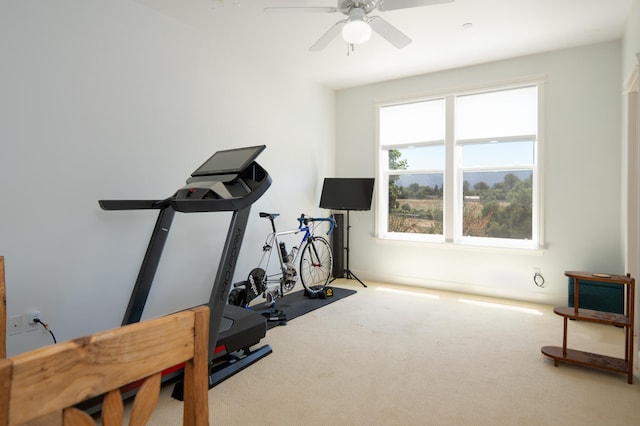 exercise area with carpet and ceiling fan