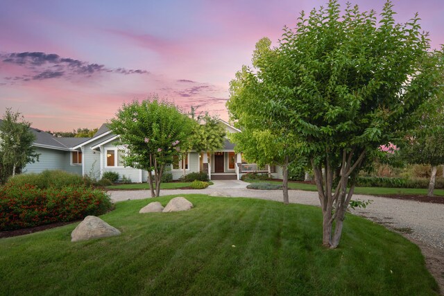 view of front of house featuring a lawn