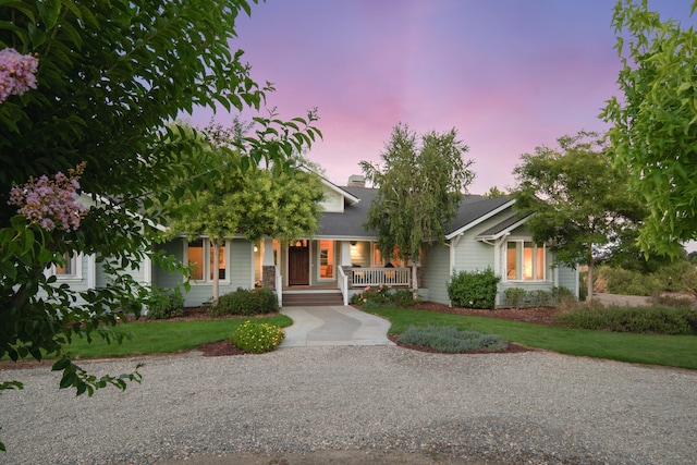 view of front of home with a yard