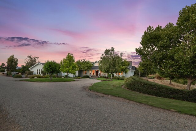 view of property hidden behind natural elements featuring a yard